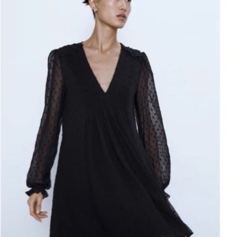 Zara Pleated Black Swiss Dot Sheer Mini Dress